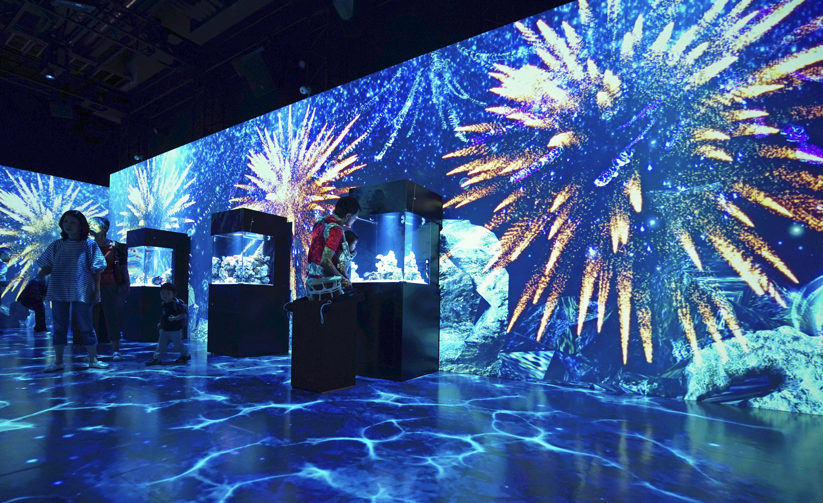 Latest technology adds colorful twist to aquariums in Japan Eleven