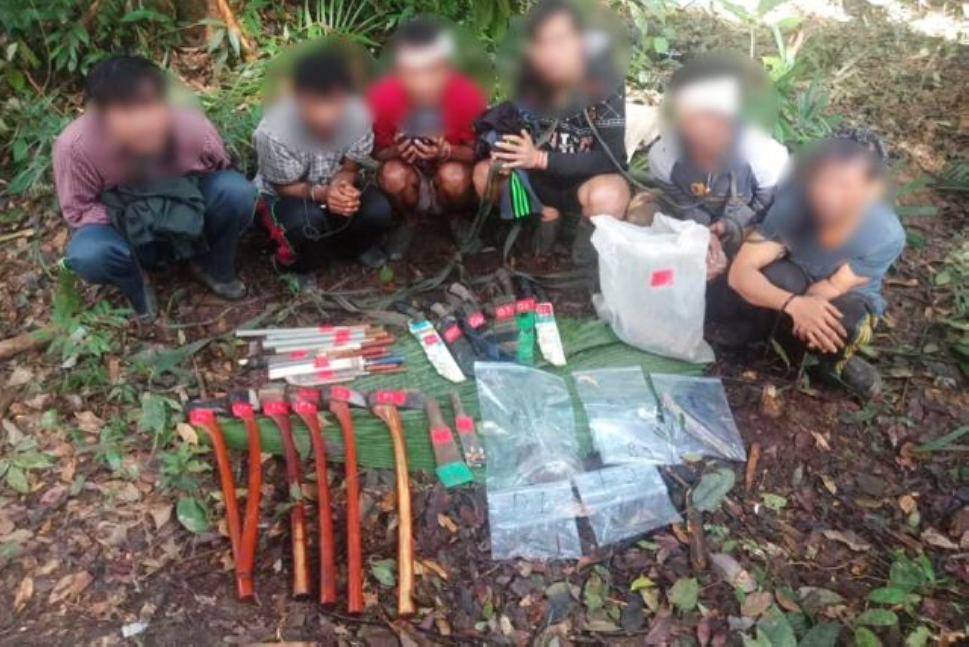 Ten poachers detained, almost RM1mil worth of wildlife parts seized