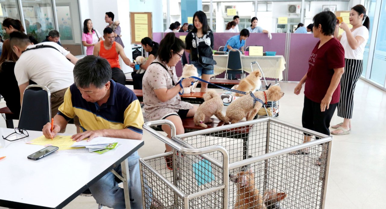 When staying well gets expensive pricegouging probe extends to vet clinics as well as private