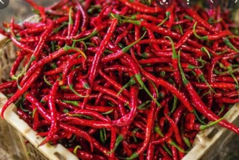 Pesticide, herbicide, and mold toxin residues found in chili exports to Thailand