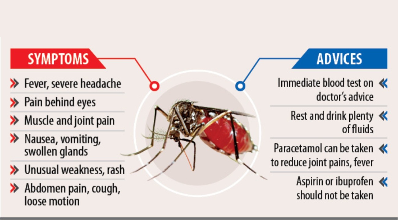 dengue-taking-its-toll-on-kids-in-bangladesh-eleven-media-group-co-ltd