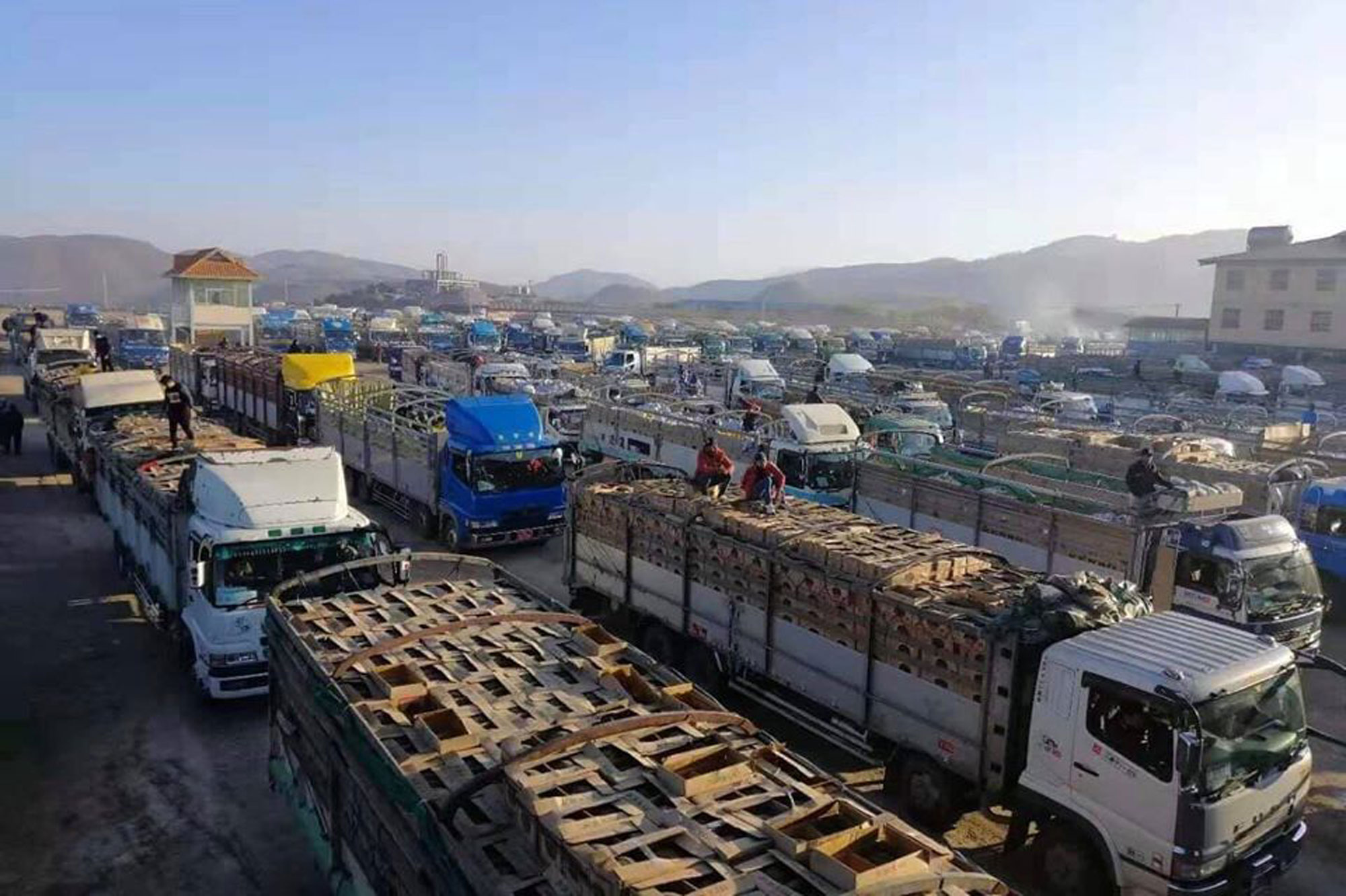 about-600-truckload-of-fruits-enter-muse-105-mile-trade-zone-before