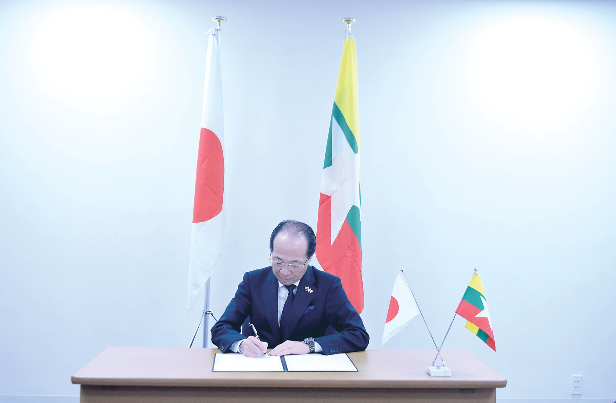 Human growth & development essay image