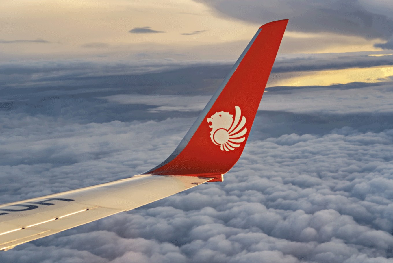 'Scorpion' found in cabin of Lion Air plane | #AsiaNewsNetwork - Eleven Myanmar