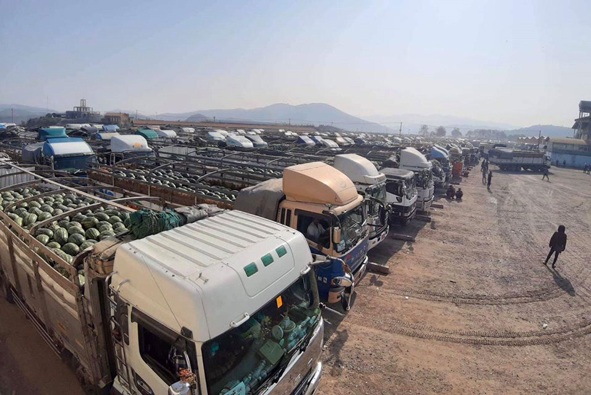 Over 1,000 truckloads of melons sold at Muse fruit market Eleven