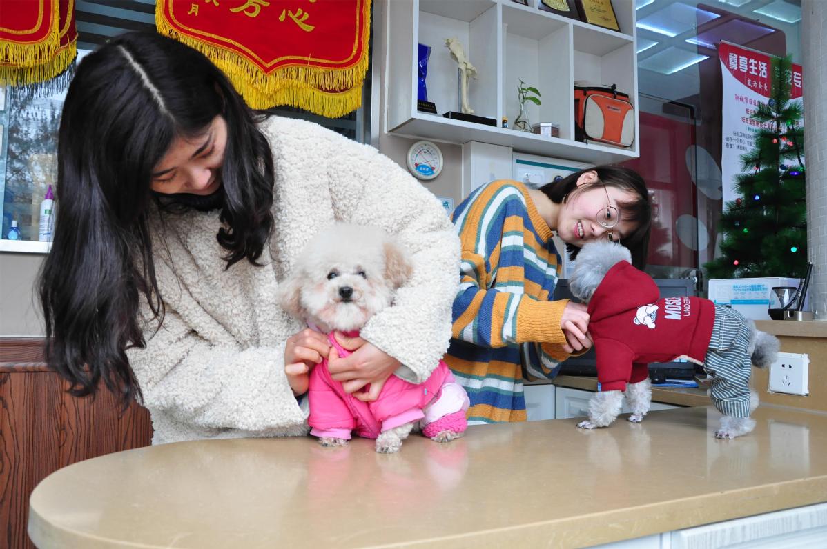 Pets live it up in the lap of luxury in China Eleven Media Group Co., Ltd