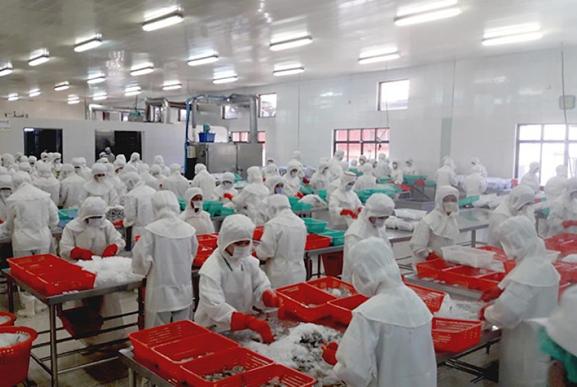 Myanmar to export catfish as major export item via public company Eleven Media Group Co., Ltd