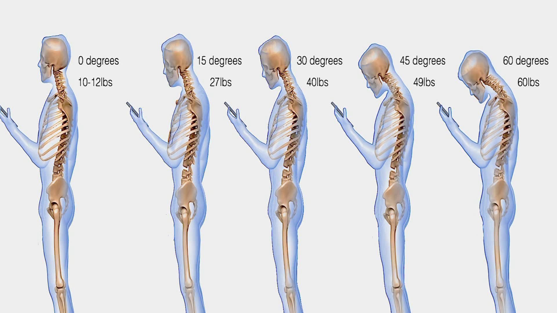 neck diagrams app