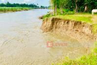 Photo--Creek banks damaged and collapsing due to erosion along Swa Creek, seen in September.