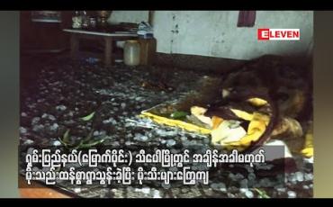 Embedded thumbnail for သီပေါမြို့တွင် အချိန်အခါမဟုတ်မိုးသည်းထန်စွာရွာသွန်းခဲ့ပြီး မိုးသီးများကြွေကျ