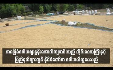 Embedded thumbnail for  အခြေခံစပါးစျေးနှုန်းအောက်ကျဆင်းသည့် တိုင်းဒေသကြီးနှင့် ပြည်နယ်များတွင် နိုင်ငံတော်က စပါးဝယ်ယူပေးမည် (ရုပ်သံ)