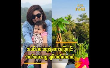Embedded thumbnail for အပင်လေးတွေ နဲ့ စကားပြောရင်း အပင်လေးတွေ ကိုချစ်လာတယ်.