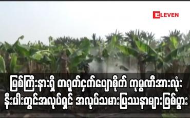 Embedded thumbnail for COVID-19 ကြောင့် မြစ်ကြီးနားမြို့နယ်ရှိတရုတ်ငှက်ပျောစိုက် ကုမ္ပဏီအားလုံးနီးပါးတွင် အလုပ်ရှင် အလုပ်သမားပြဿနာများဖြစ်ပွားခဲ့