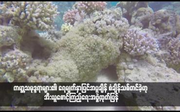 Embedded thumbnail for ကမ္ဘာ့သမုဒ္ဒရာများ၏ ရေမျက်နှာပြင်အပူချိန် စံချိန်သစ်တင်ခဲ့ဟု အီးယူစောင့်ကြည့်ရေးအဖွဲ့ထုတ်ပြန်