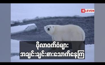 Embedded thumbnail for အာတိတ်ဒေသရေခဲအရည်ပျော်မှုနှင့် စားကျက်မြေဆုံးရှုံးလာမှုကြောင့် ပိုလာဝက်ဝံများ အချင်းချင်းစားသောက်လာကြဟုရုရှားသိပ္ပံပညာရှင်ဆို (ရုပ်သံ)