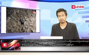 Embedded thumbnail for ဇန်နဝါရီ ၁၀ ရက် နံနက်ခင်းသတင်းအစီအစဉ် 