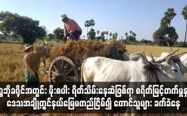 Embedded thumbnail for ရွှေဘိုခရိုင်အတွင်း မိုးစပါး ရိတ်သိမ်းနေဆဲဖြစ်ရာ စရိတ်မြင့်တက်မှုကြောင့် တောင်သူများခက်ခဲနေ