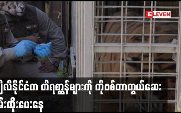 Embedded thumbnail for ချီလီနိုင်ငံက တိရစ္ဆာန်များကို ကိုဗစ်ကာကွယ်ဆေး စမ်းထိုးပေးနေ