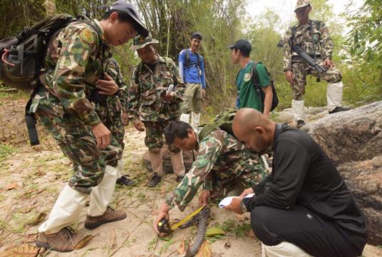 Participants observe SMART patrolling at Huai Kha Khaeng before attending the conference on World Ranger Day held at Khao Yai National Park on July 31. Photo credit: Kwanchai Waitanyakarn/ WCS Thailand
