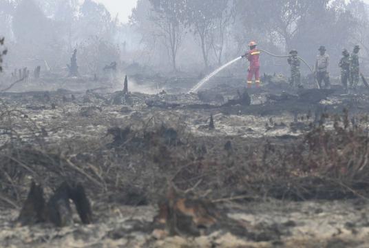 Local authorities work together to put out land and forest fires in Merbau village of Bunut district, Pelalawan regency, Riau, on Tuesday. (Antara/Puspa Perwitasari) 
