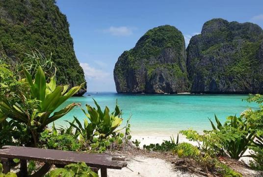 Months after being closed to tourists, the world-famous Maya Bay is showing encouraging signs of recovery. /Credit:Thon Thamrongnawasawat