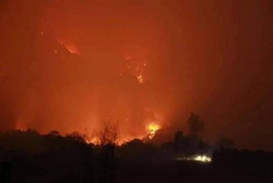 A forest fire at Doi Lung Chiang Dao,Chiang Mai/The Nation