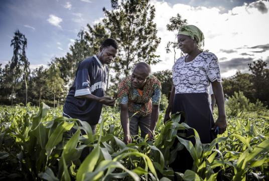 Farmers employing FAO’s conservation agriculture attend a training session at a demonstration farm in Taveta, Kenya, on May 30. The group is part of a program led by FAO that helps farmers from the region buy farming products.