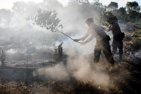 Personnel of the West Aceh Police extinguish a peatland fire in Seuneubok village, Johan Pahlawan district, West Aceh, Aceh, on Sunday. Around 5 hectares of peatland in Johan Pahlawan and Meureboe, two districts in West Aceh regency, caught fire because of the heat and strong winds. (Antara/Syifa Yulinnas)