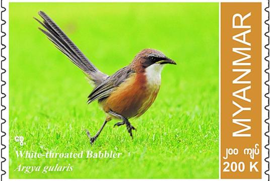 While seeing the new design of the “White-throated babbler” bird postage stamp for sale. (Photo: MOI)
