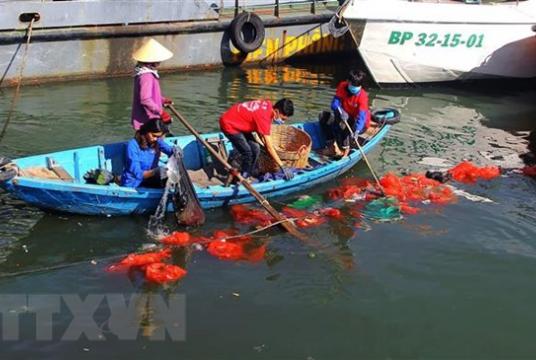 Workers collect ocean plastic waste in Quy Nhơn Port, coastal south-central province of Quy Nhơn.—VNA/VNS Photo 
