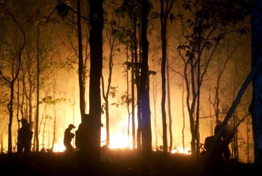 Mae Puem National Park officials and volunteers fight forest fires in Phayao’s Mae Chai district, despite suffering fatigue and skin and eye problems./The Nation