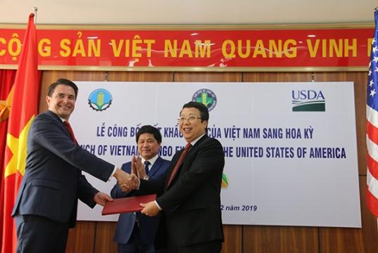 A representative from the Ministry of Agriculture and Rural Development received licence to export mangoes to the US. — VNS Photo Tố Như