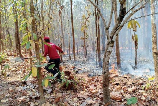 A volunteer battles flames in dry forestland in Mae Hong Son province yesterday./The Nation