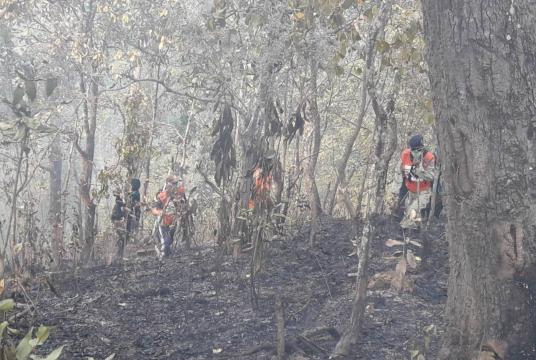 Forest firefighters walk past a burned-down forest in Mae Hong Son, where more than 32,000 hectares of forestland has been scorched so far this year./The Nation