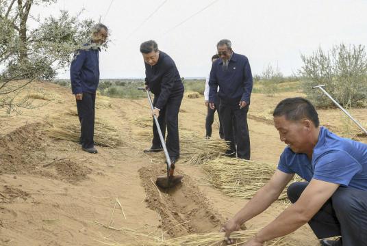 President Xi Jinping, also general secretary of the Communist Party of China Central Committee, works at an afforestation program in Gulang county, Gansu province. He learned about the latest developments in desertification control during the inspection tour. XIE HUANCHI / XINHUA