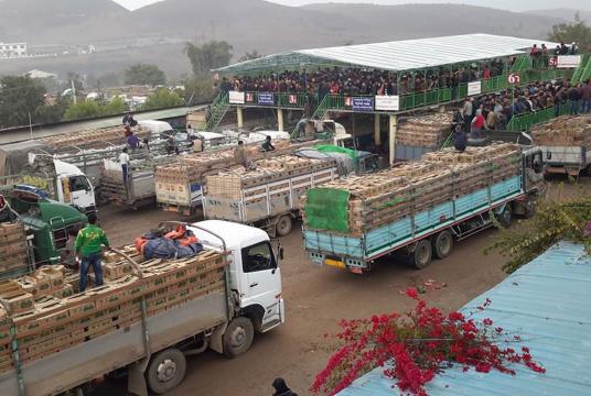 Fruit wholesale center in Muse 105-mile trade zone (Photo-Tun Nay Hlaing)