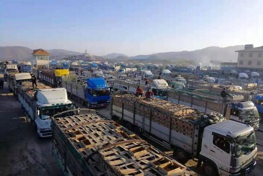 Trucks loaded with watermelons seen at Muse 105-mile trade zone