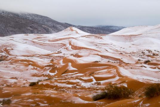 Picture taken on December 19, 2016 shows the snow covering the sand in the Sahara Desert near the town of Ain Sefra, Algeria. [Photo/IC]