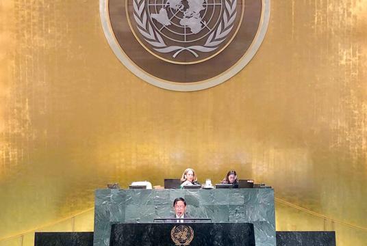 Ambassador Hau Do Suan reads out Myanmar's statement at the 74th UNGA on November 4. 