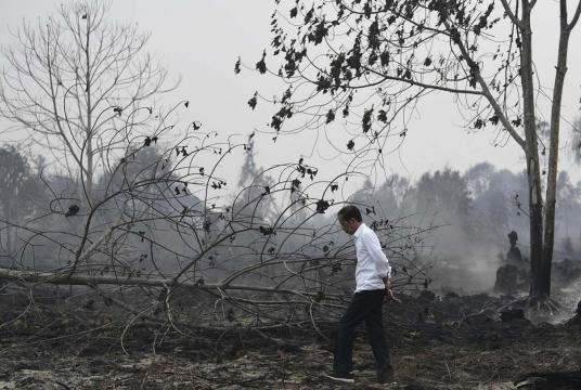 President Joko “Jokowi” Widodo inspects the damage caused by ongoing forest fires in Pekanbaru, Riau, on Tuesday. (Antara/Puspa Perwitasari)