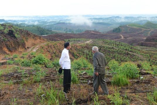 President Joko "Jokowi" Widodo (left) and East Kalimantan Governor Isran Noor take a stroll during a visit to the proposed location of the country's new capital in Sepaku district of North Penajam Paser, East Kalimantan on Dec. 18. (Presidential Palace Press Bureau/Muchlis Jr)