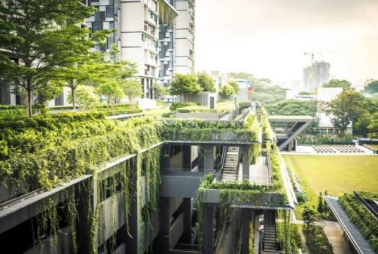 Greenery integrated into new housing projects at Dawson Estate.PHOTO: HDB