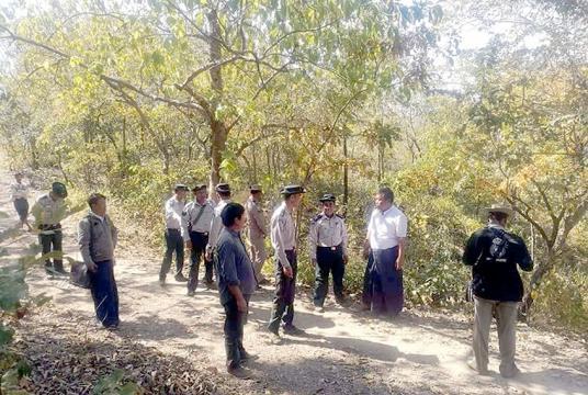 Officials concerned conduct survey in Minwuntaung Sanctuary in Sagaing Region
