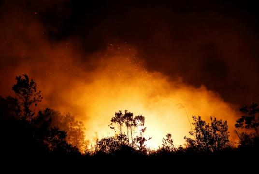 Trees and peatland burn in a fire in Palangka Raya, Central Kalimantan province, Indonesia, on Sept 17, 2019.PHOTO: REUTERS