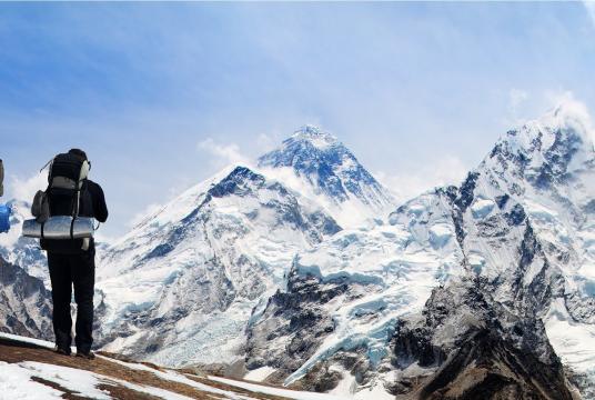 Daniel Prudek/Shutterstock.com