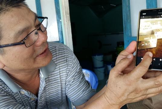 Vietnamese-Canadian engineer Trần Bá Cương John shows a quality test on his smartphone at the shrimp farm in Thăng Bình District's Bình Hải Commune. He has helped develop the first nano-tech shrimp farm in Việt Nam. VNS PHoto Công Thành 