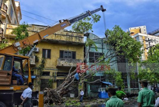 Trees felled from strong wind in Mandalay.