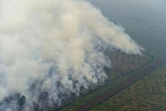 Fires at a forest in Pelalawan, Riau province, in 2015.PHOTO: AFP