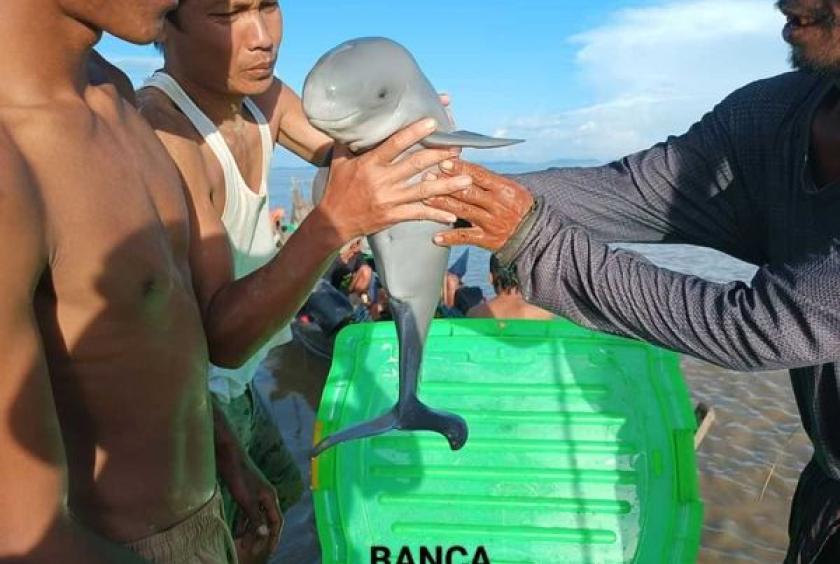  Photo - BANCA