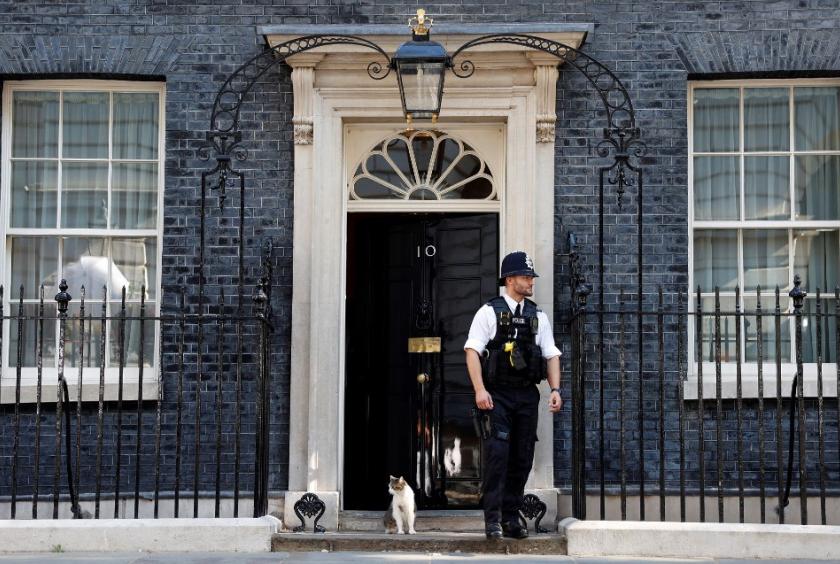 Downing Street cat drawn into political fight for his residence